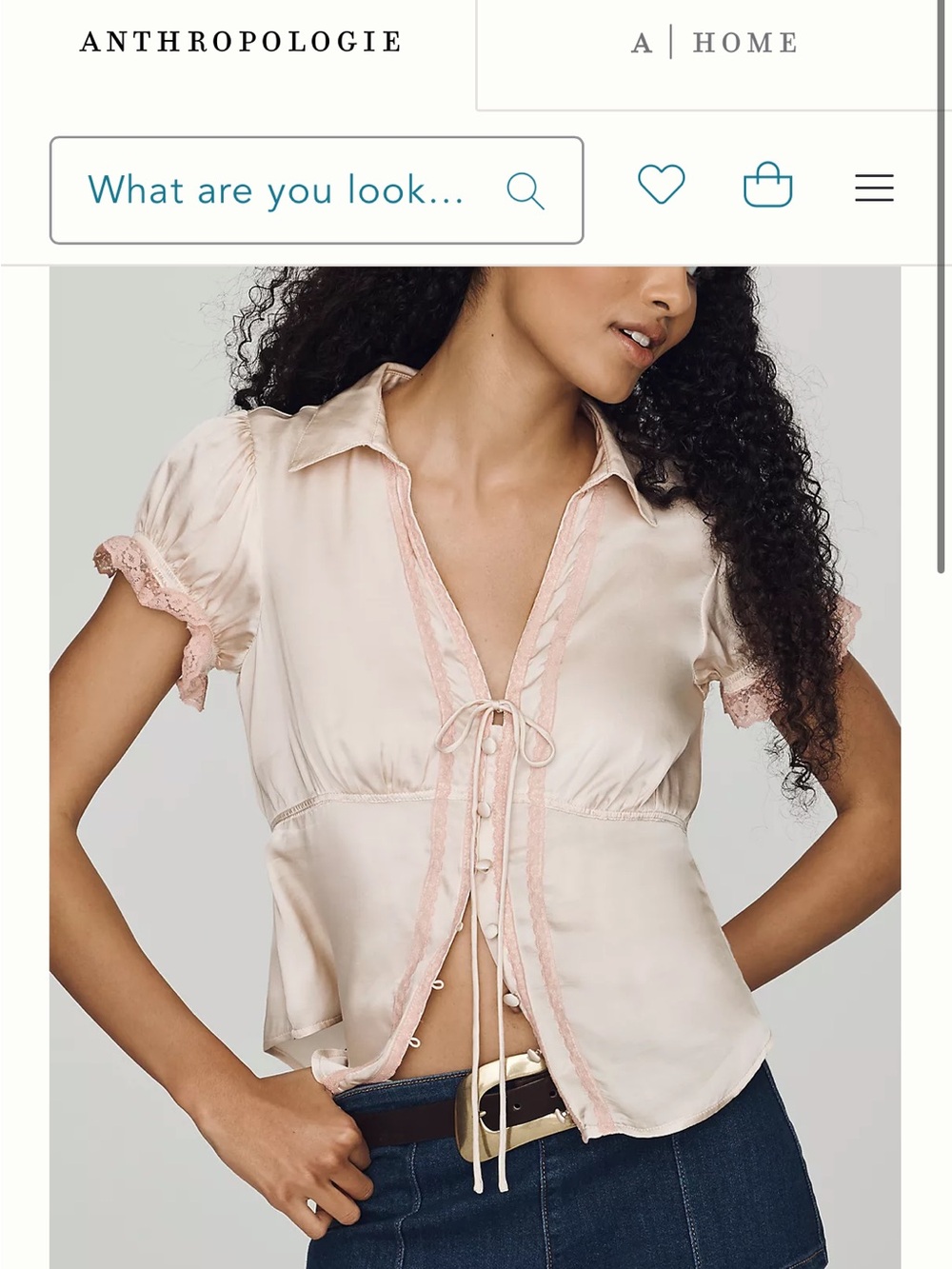 NWT Anthropologie Pink Lace-Trim Tie-Front Blouse